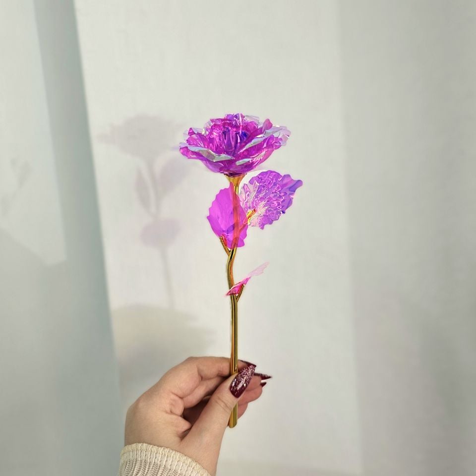 Pembe Sonsuzluk Gülü ve Gül Suyu Set