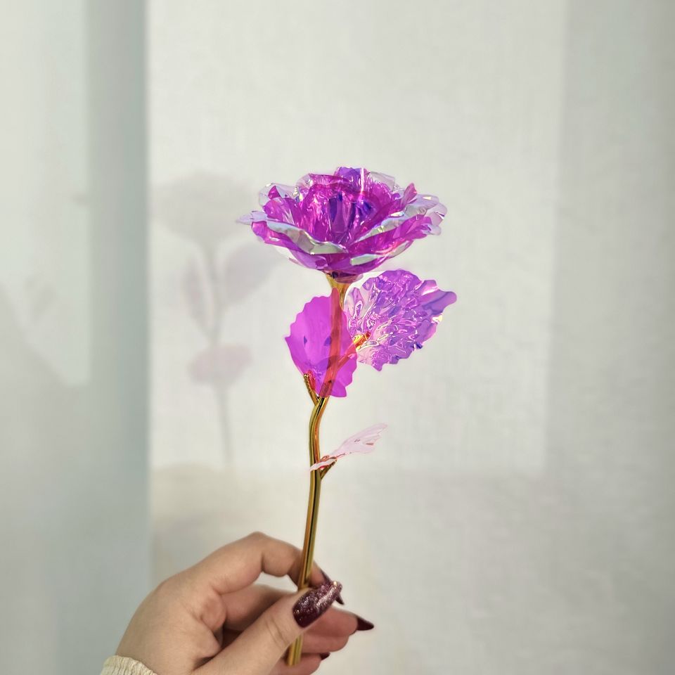 Pembe Sonsuzluk Gülü ve Gül Suyu Set